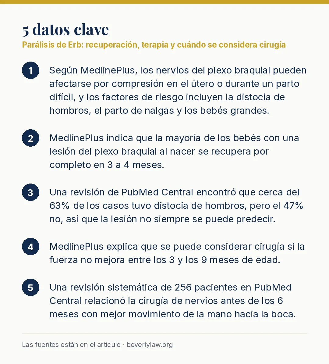 Datos clave: Parálisis de Erb: recuperación, terapia y cuándo se considera cirugía
